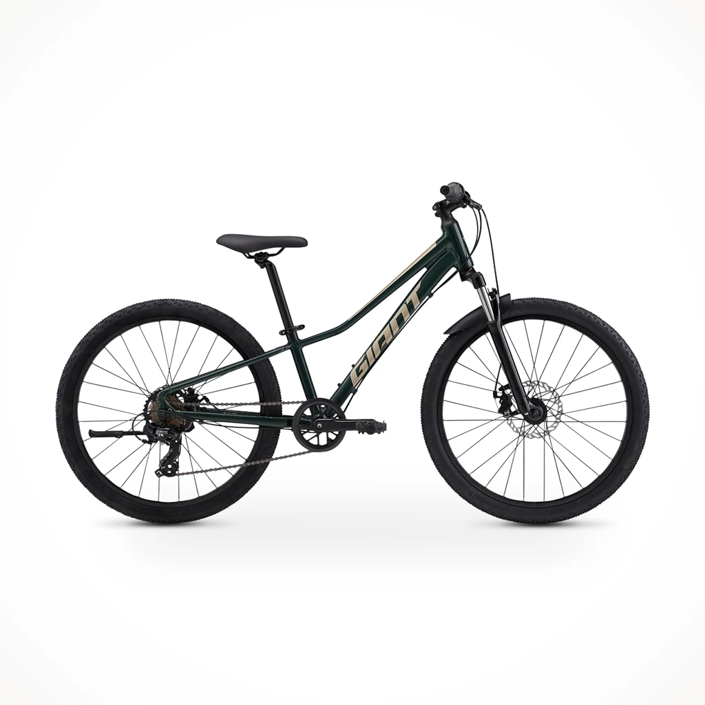 Giant Talon 24 Disc — Kids'